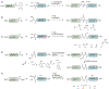 Figure 12.