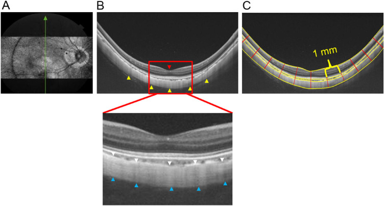 Figure 2.