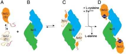 Fig. 4.