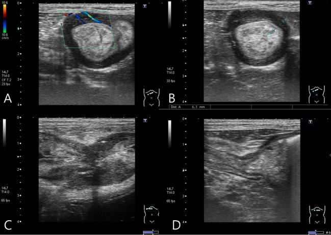 Fig. 2.