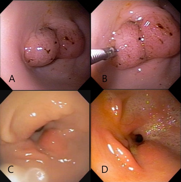 Fig. 3.
