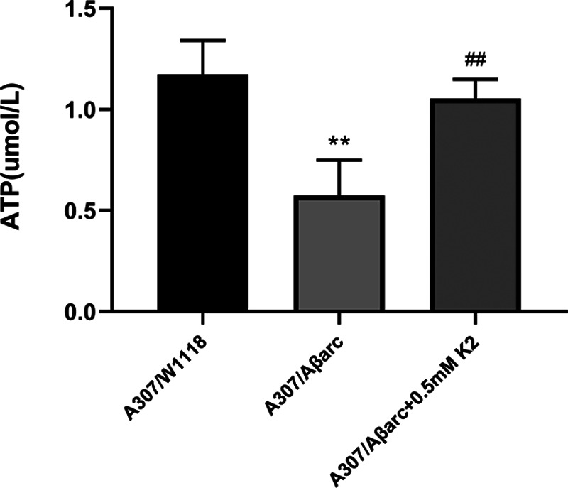 Fig. 3