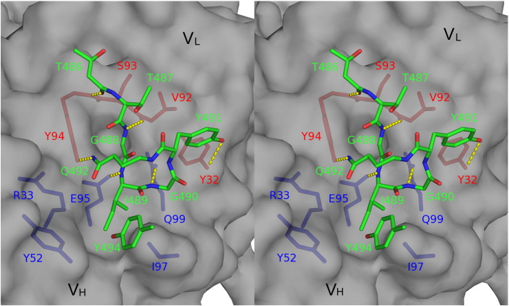 Fig. 2