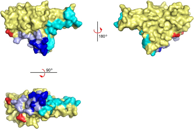 Fig. 3