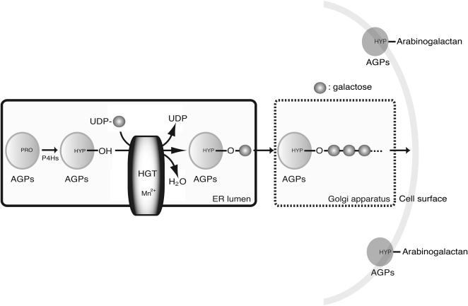 Figure 7.