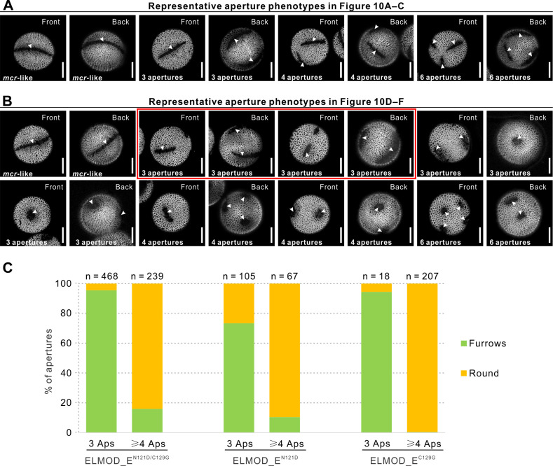 Figure 10—figure supplement 1.