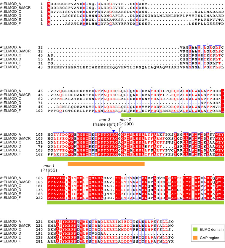 Figure 3—figure supplement 1.