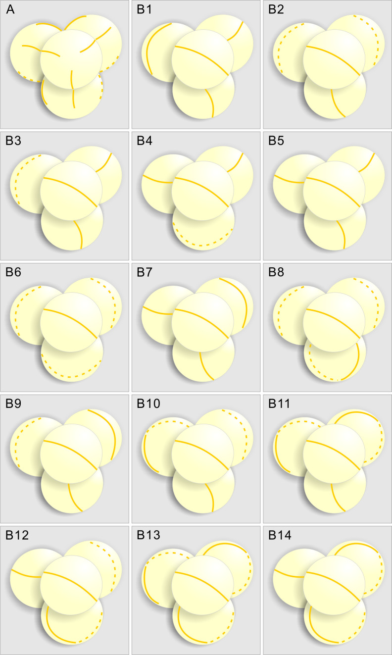 Figure 1—figure supplement 1.