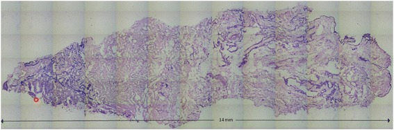 Fig. 2