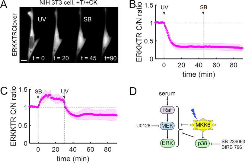 Figure 5.