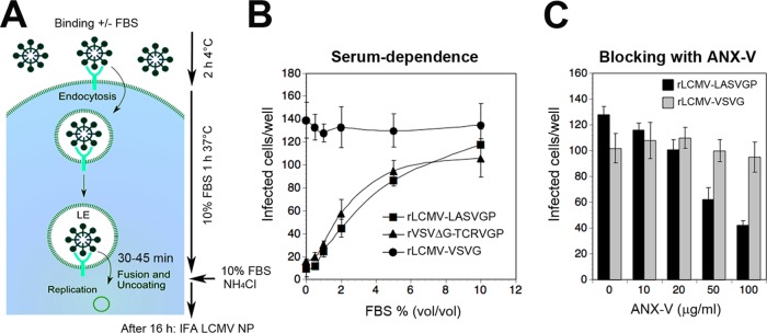 FIG 4