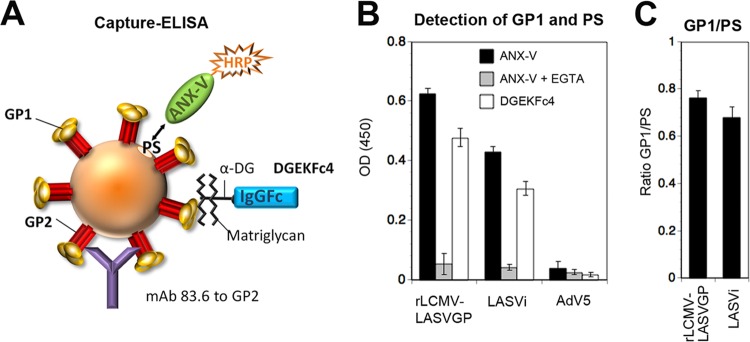 FIG 2