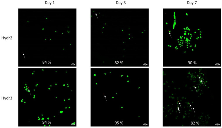 Figure 10