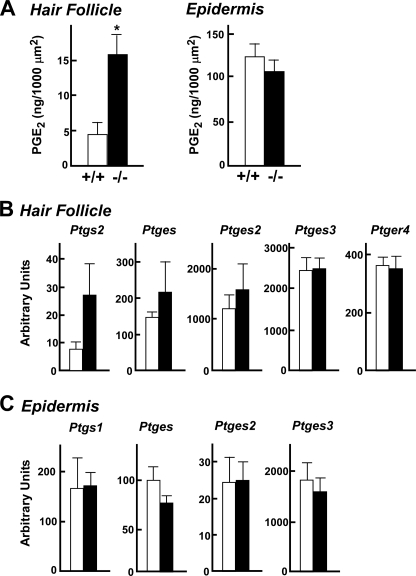 FIGURE 9.