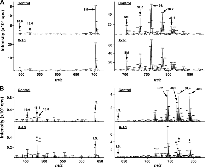 FIGURE 3.