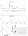 FIG. 6.