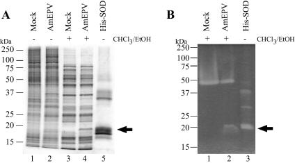 FIG. 5.