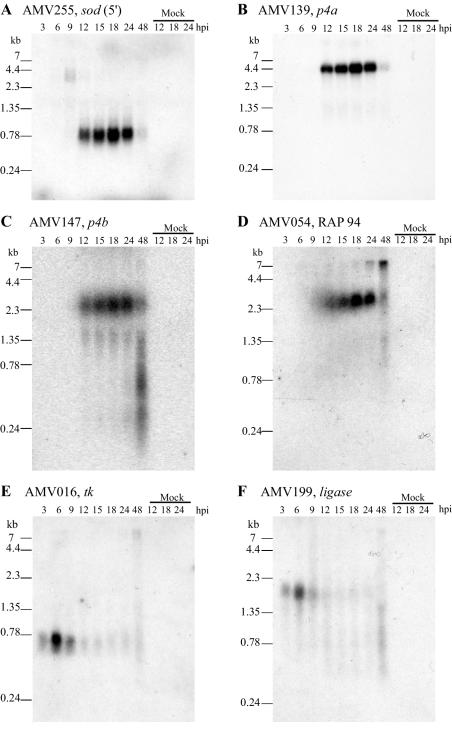 FIG. 4.