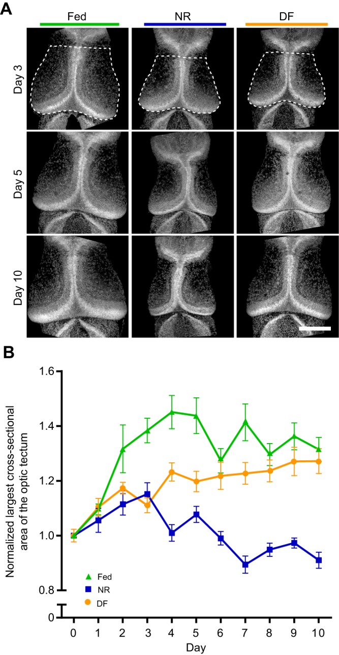 Fig. 3.