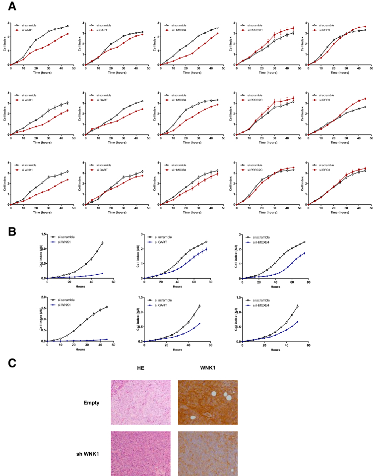 Figure 13