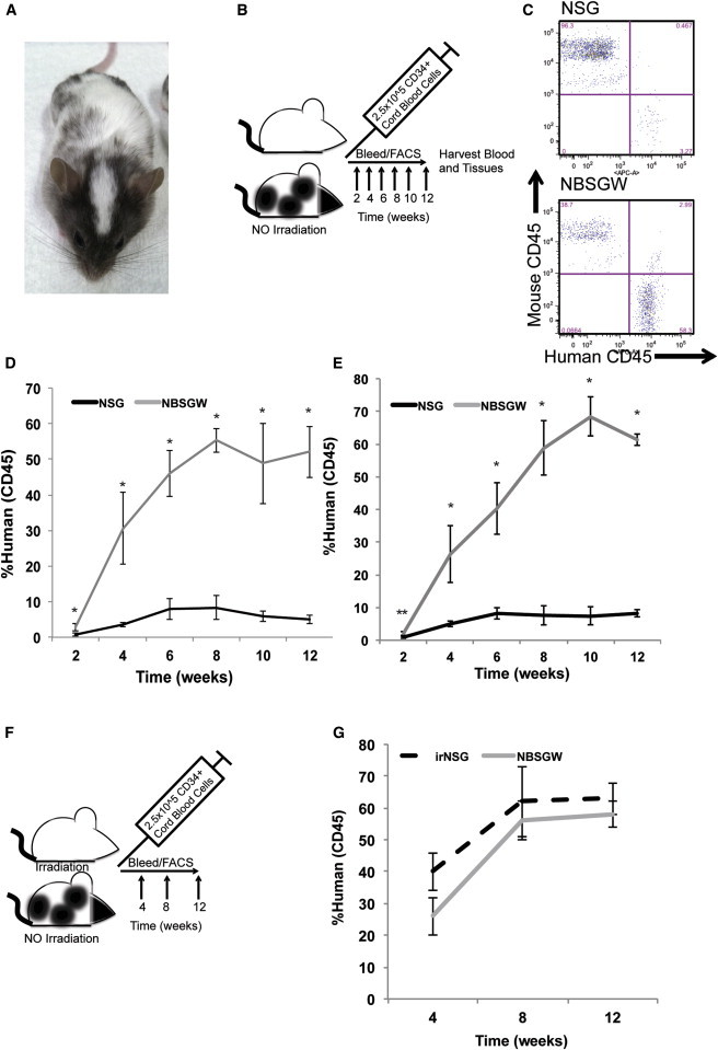 Figure 1