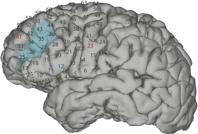 Fig. 3