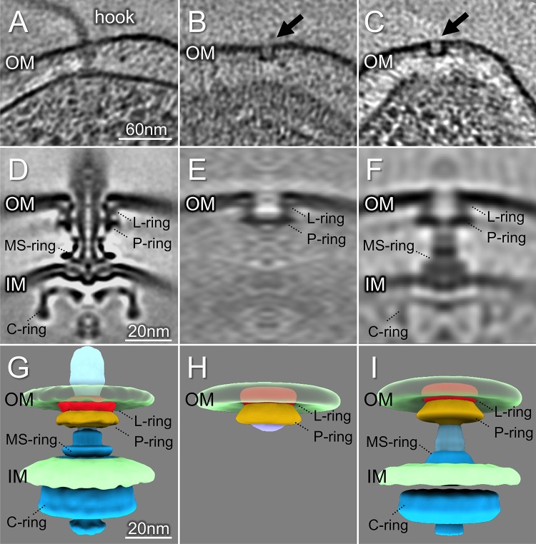 FIG 3