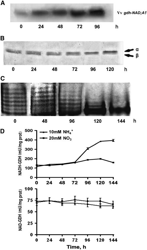 Figure 12.