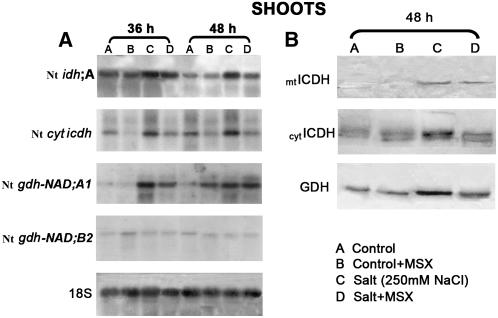 Figure 11.