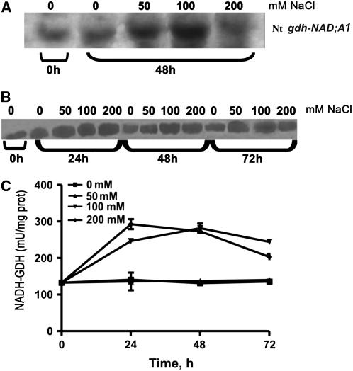 Figure 7.