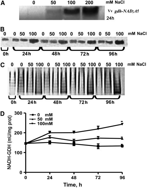 Figure 6.