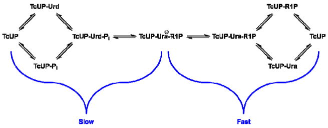 Scheme 4