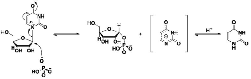 Scheme 5