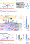 Figure 4 |