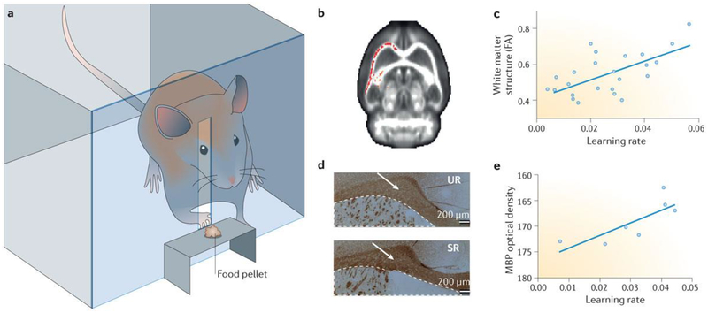 Figure 3 |