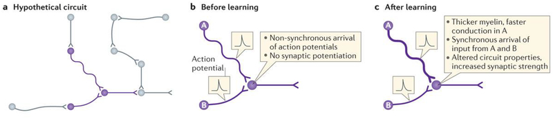 Figure 6 |