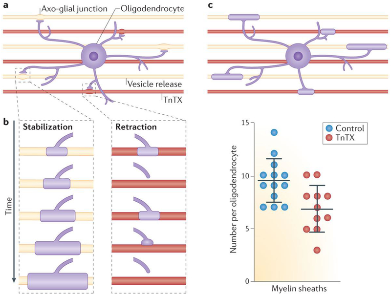 Figure 5 |