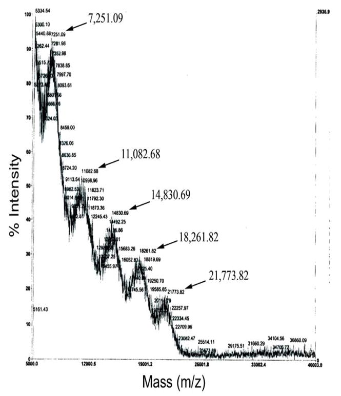 Fig. 5