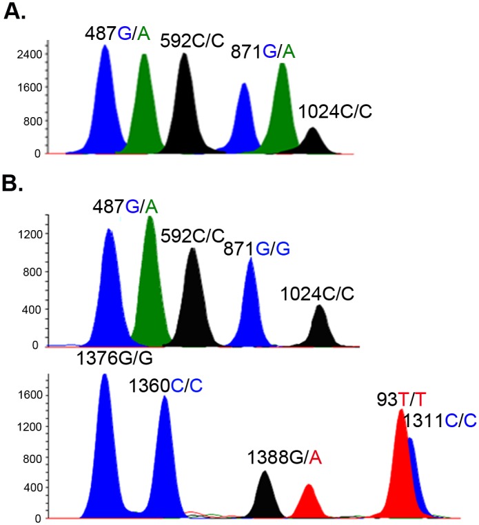 Fig 1