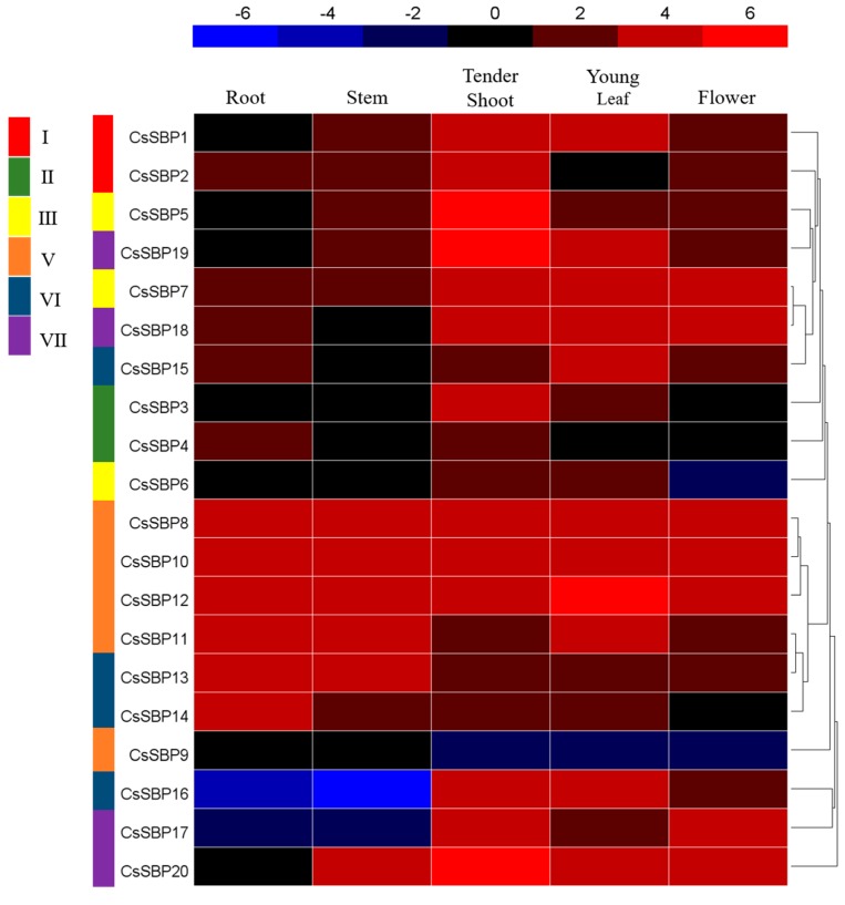 Figure 7