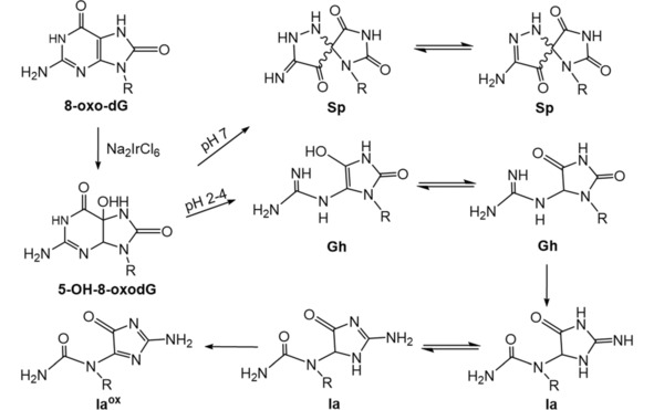 Scheme 6