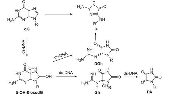 Scheme 5