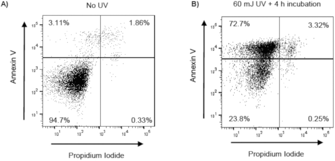 Figure 2: