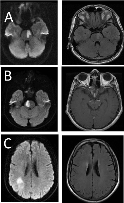 Figure 2.