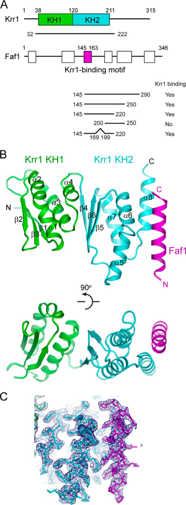 FIGURE 1.