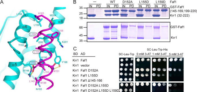 FIGURE 4.