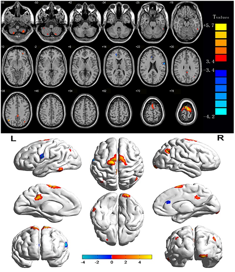 FIGURE 1