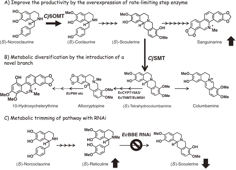 Figure 3. 