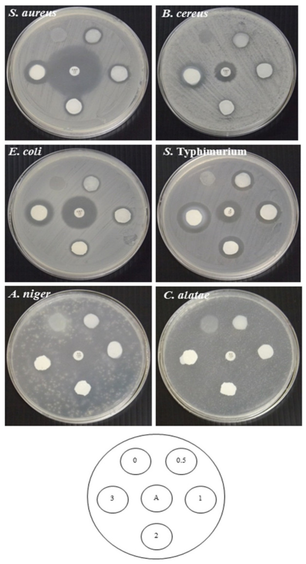 Figure 5