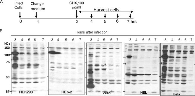 FIG 1